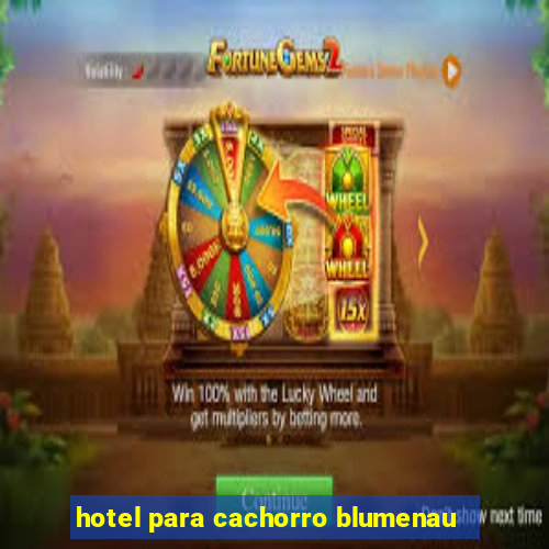 hotel para cachorro blumenau